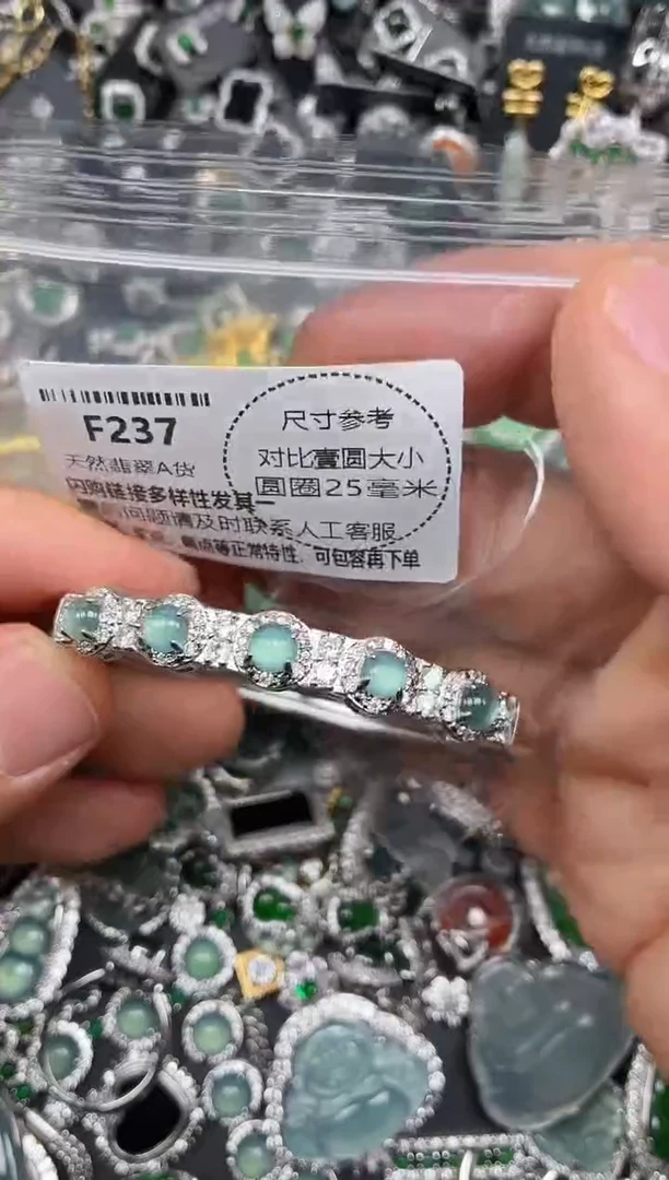 颈饰未镶嵌翡翠F237手镯