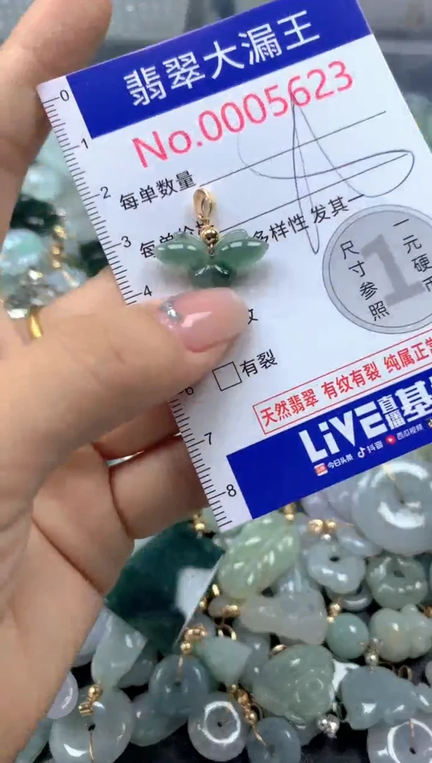 颈饰未镶嵌翡翠5623