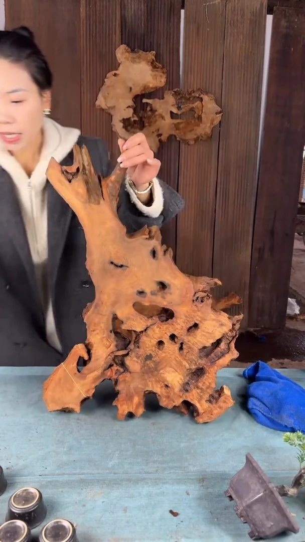 【闪购商品】香杉木木艺杉木瘤随型【原料】057