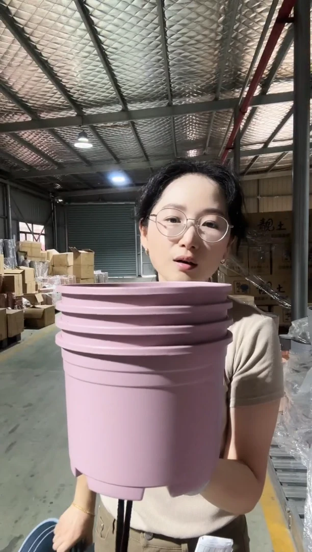 矮胖1.5加仑 紫色 4只无托