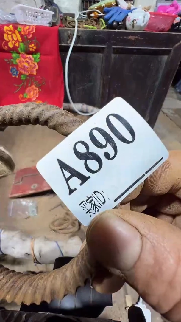 拙*0818老王直播间专属链接
