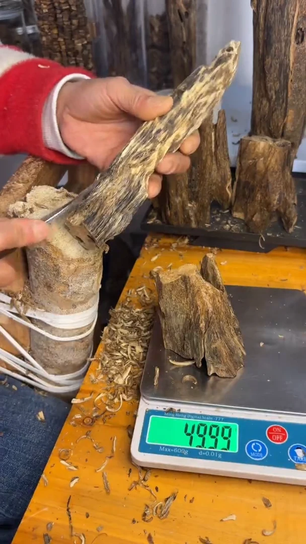 沉香沉香碎屑奇楠沉香49克