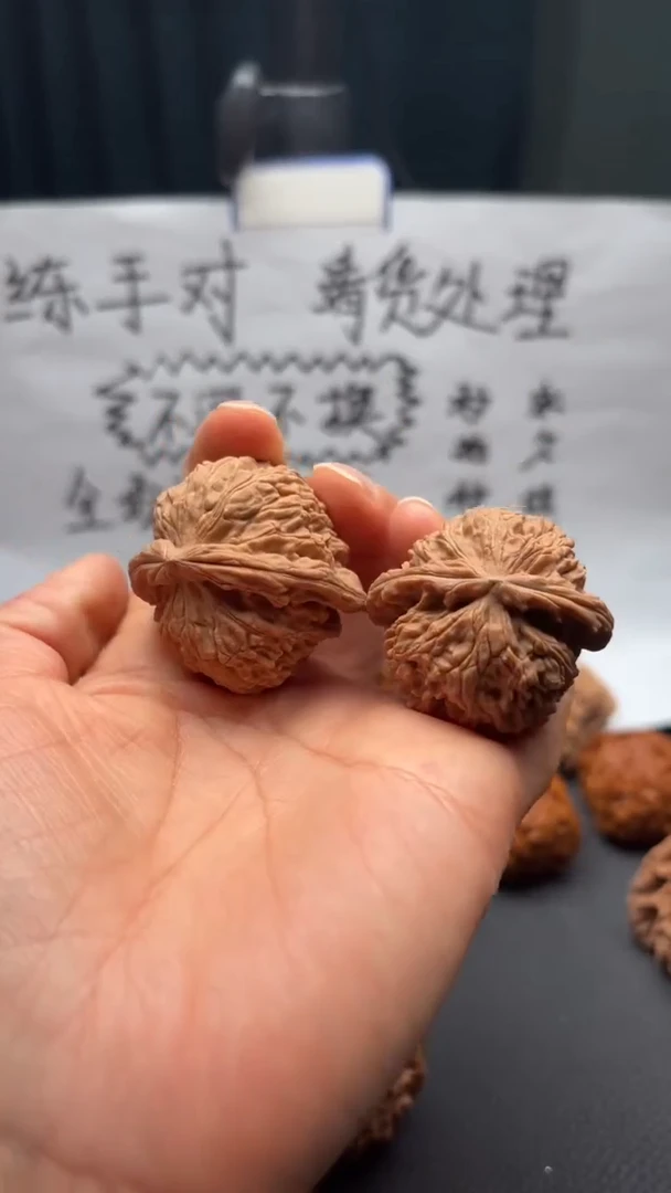 把件文玩核桃311白狮子