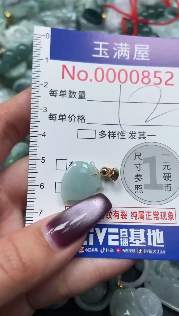 颈饰未镶嵌翡翠852