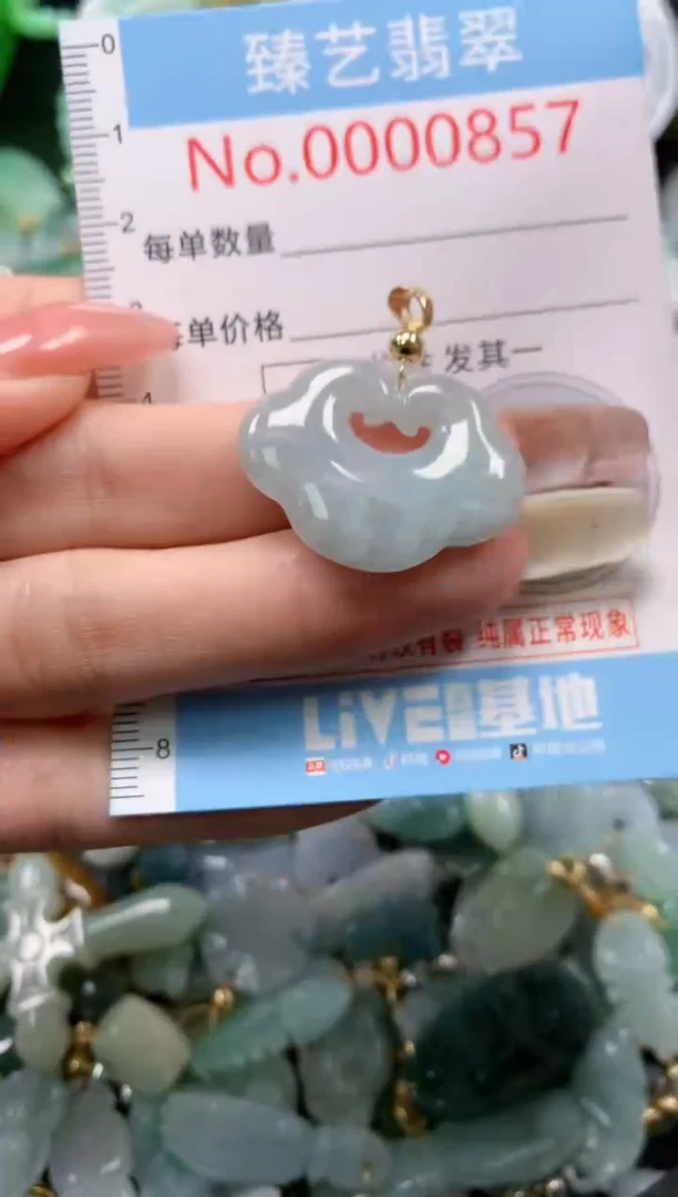 翡翠未镶嵌吊坠(不含链)857