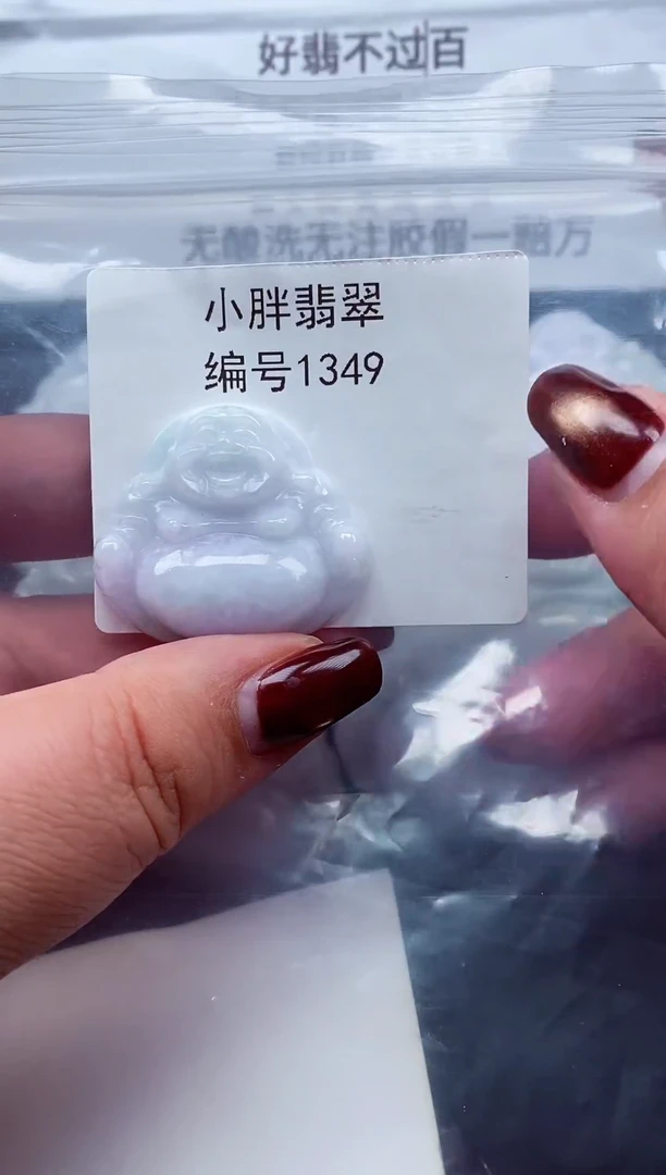 颈饰未镶嵌翡翠缅甸天然A货翡翠1349