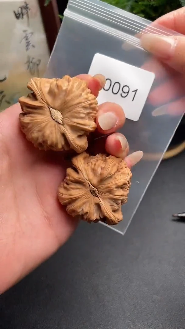 文玩核桃把件白狮子43尺