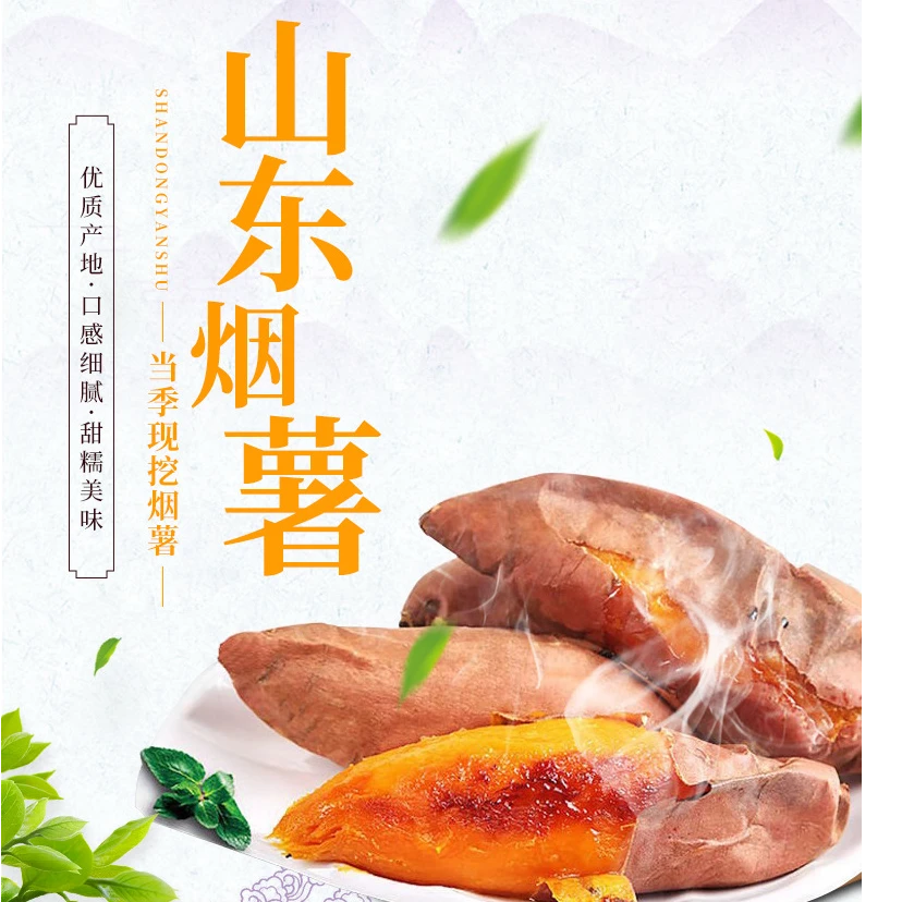 山东烟薯25号 蜜薯 沙地地瓜  红薯 糖心流油烟薯25号山东省