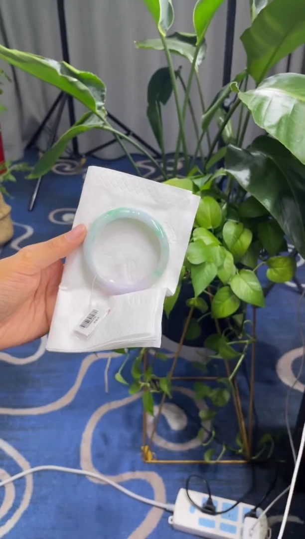 未镶嵌手镯翡翠4993