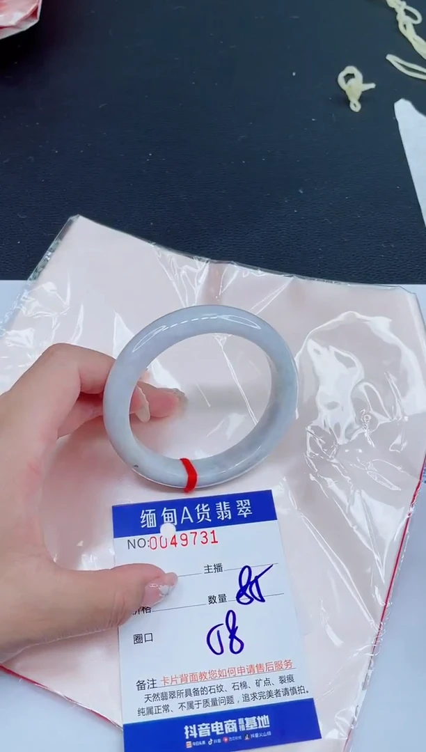 未镶嵌手镯翡翠0450600047