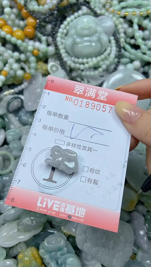 颈饰未镶嵌翡翠闪购0189057
