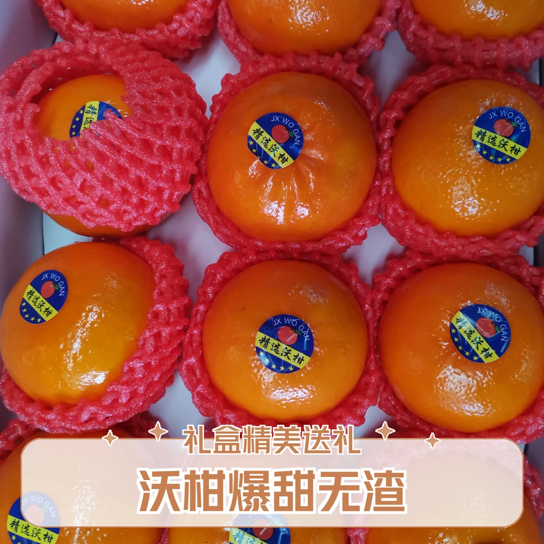 【沃柑精品礼盒装】2025送人送礼金蛇拜年礼品武鸣沃柑爆汁水果超甜无渣450g 450g沃柑茂谷柑广西壮族自治区