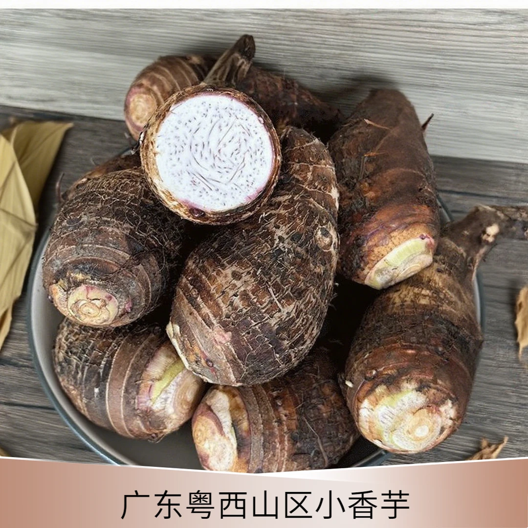 广东粤小香芋现挖高品粉香当季新鲜蔬菜芋头子蒸煮油炸整箱