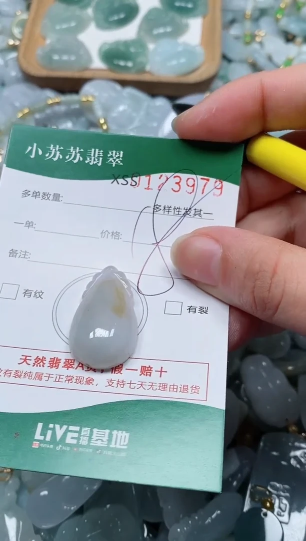 【闪购商品】翡翠颈饰未镶嵌闪购商品0123979