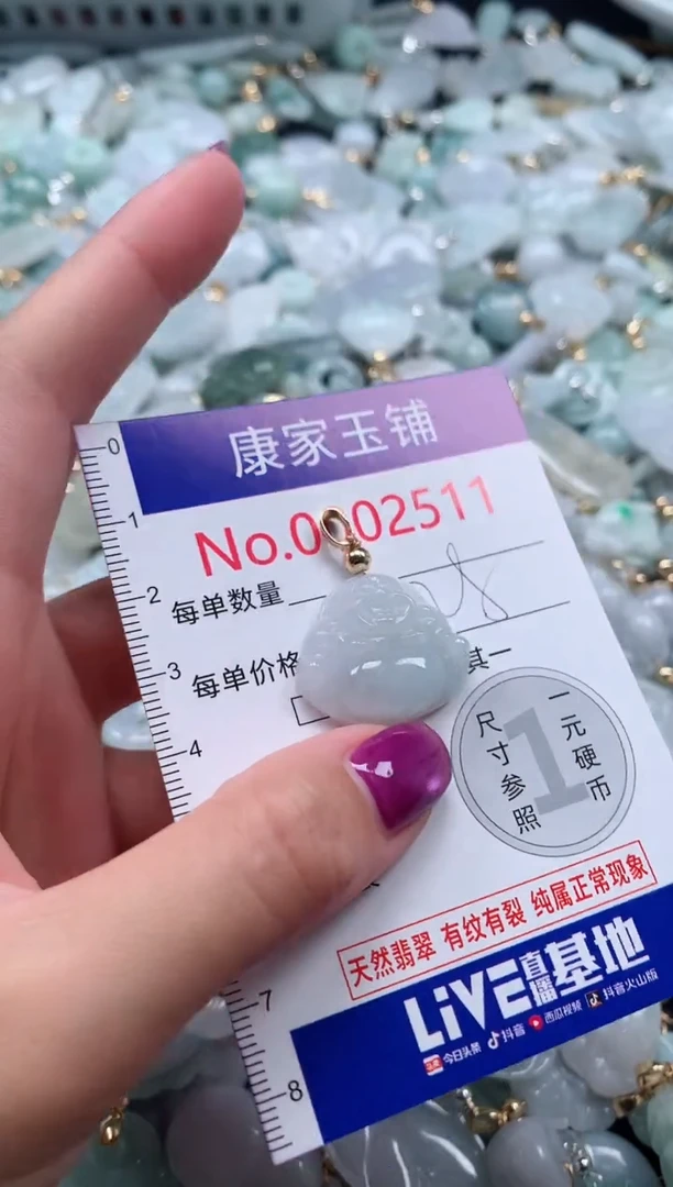 颈饰未镶嵌翡翠2511