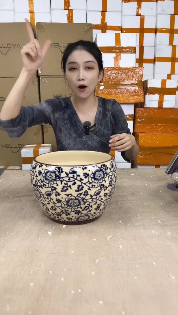 苹果青花瓷中号20x15