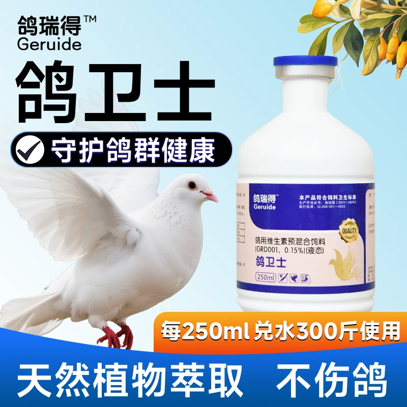 鸽卫士鸽子扭颈歪头水绿便缩头炸毛饮水增加呆立伸脖呼吸道流涕泪