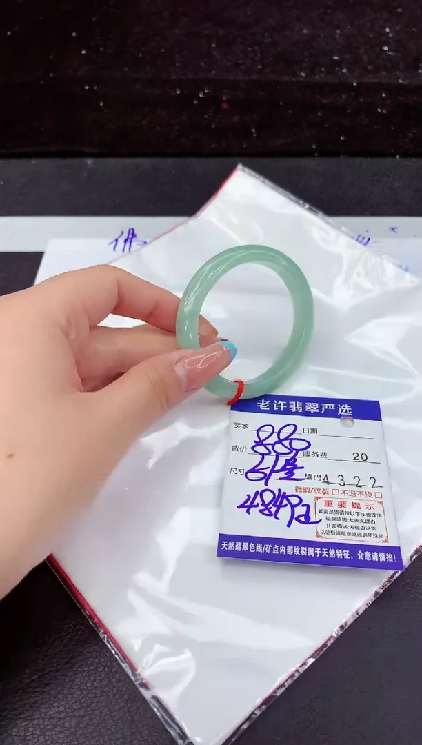 未镶嵌手镯翡翠1
