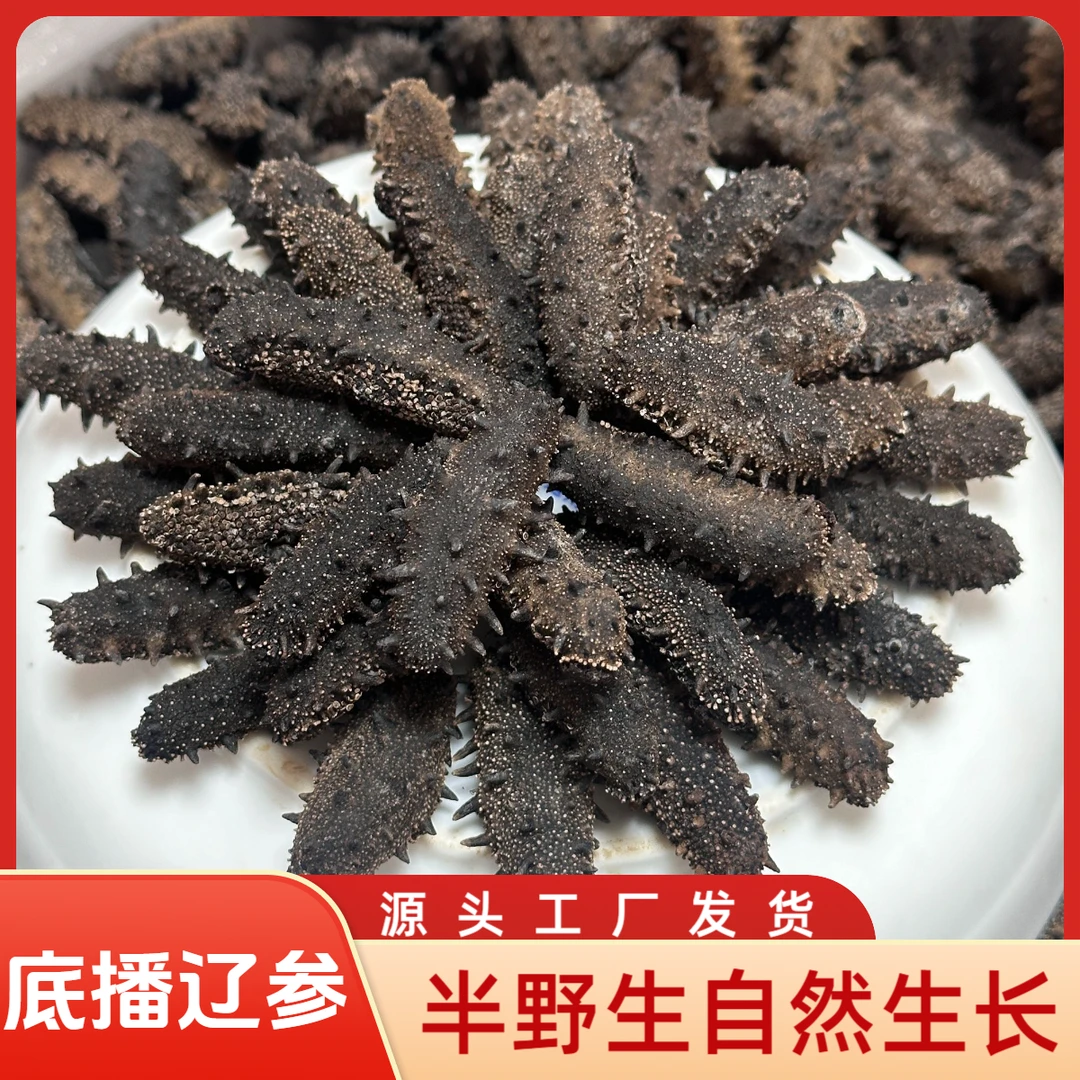 250g大连淡干底播辽参70-80头/斤直发高泡发13-15倍无盐半野生