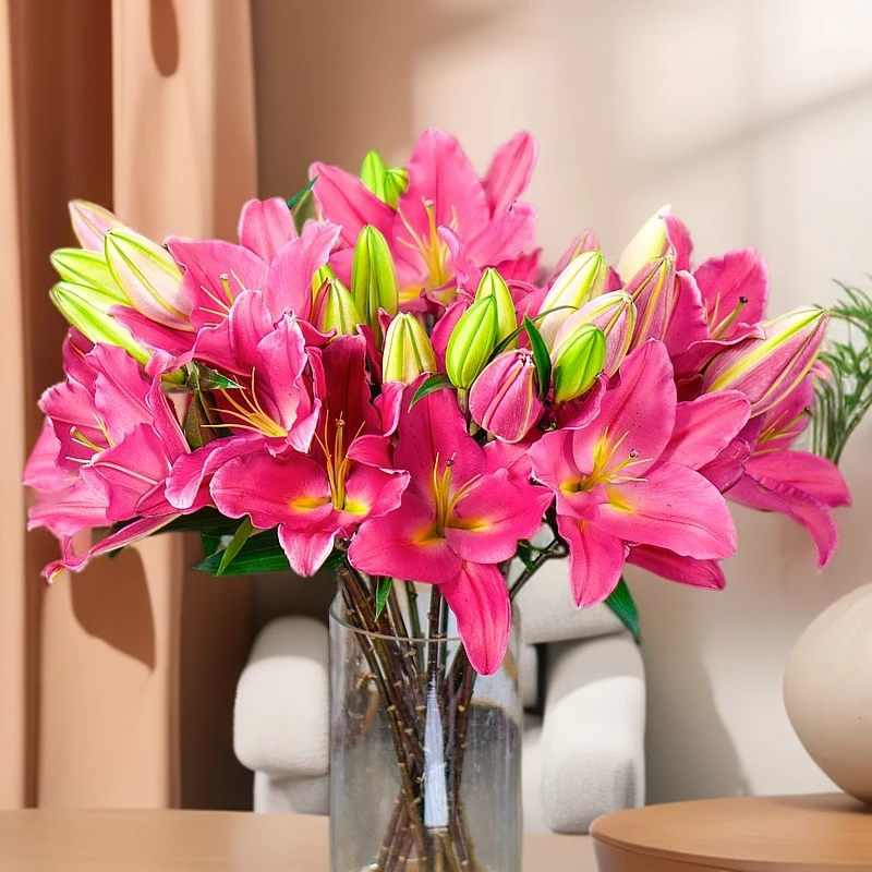云南木木花卉鸿运当头高贵艳丽香百合办公室水养家居装饰客厅鲜花