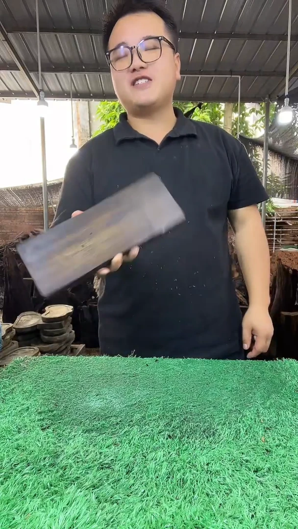 金丝楠小叶桢楠114
