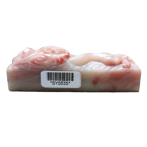 篆刻姚伟荣SY5535一起向未来
