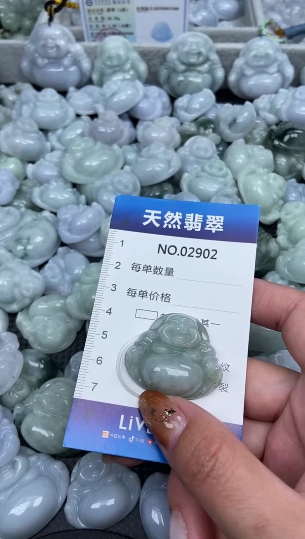 颈饰未镶嵌翡翠纯天然A货翡翠2902