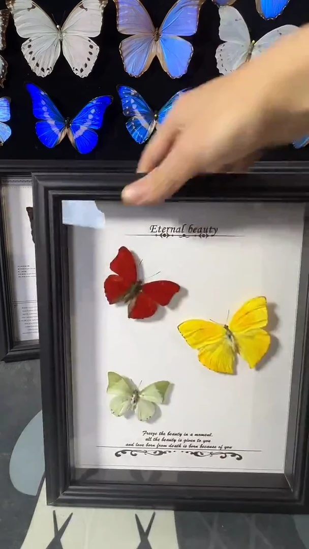 三只对蝶欧版相框