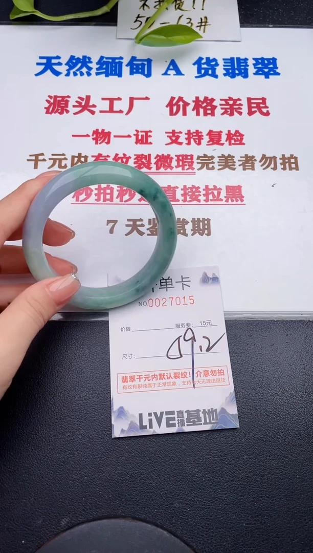 未镶嵌手镯翡翠15