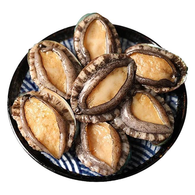 【开海季】连江生海藻饲养大鲍鱼/只
