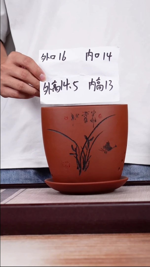 紫砂花盆清水泥君子兰2号一只带托