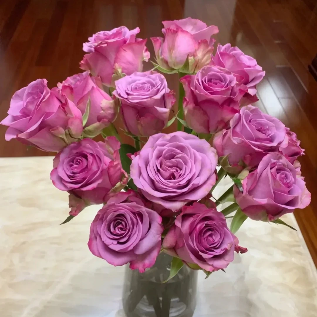 10枝【冷美人】玫瑰  任意两单顺丰冷链包邮