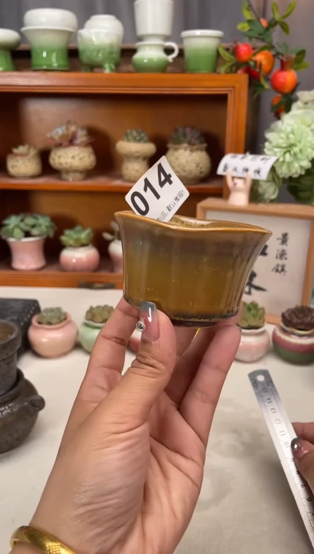 瓷片014知木小芳花盆直播编号
