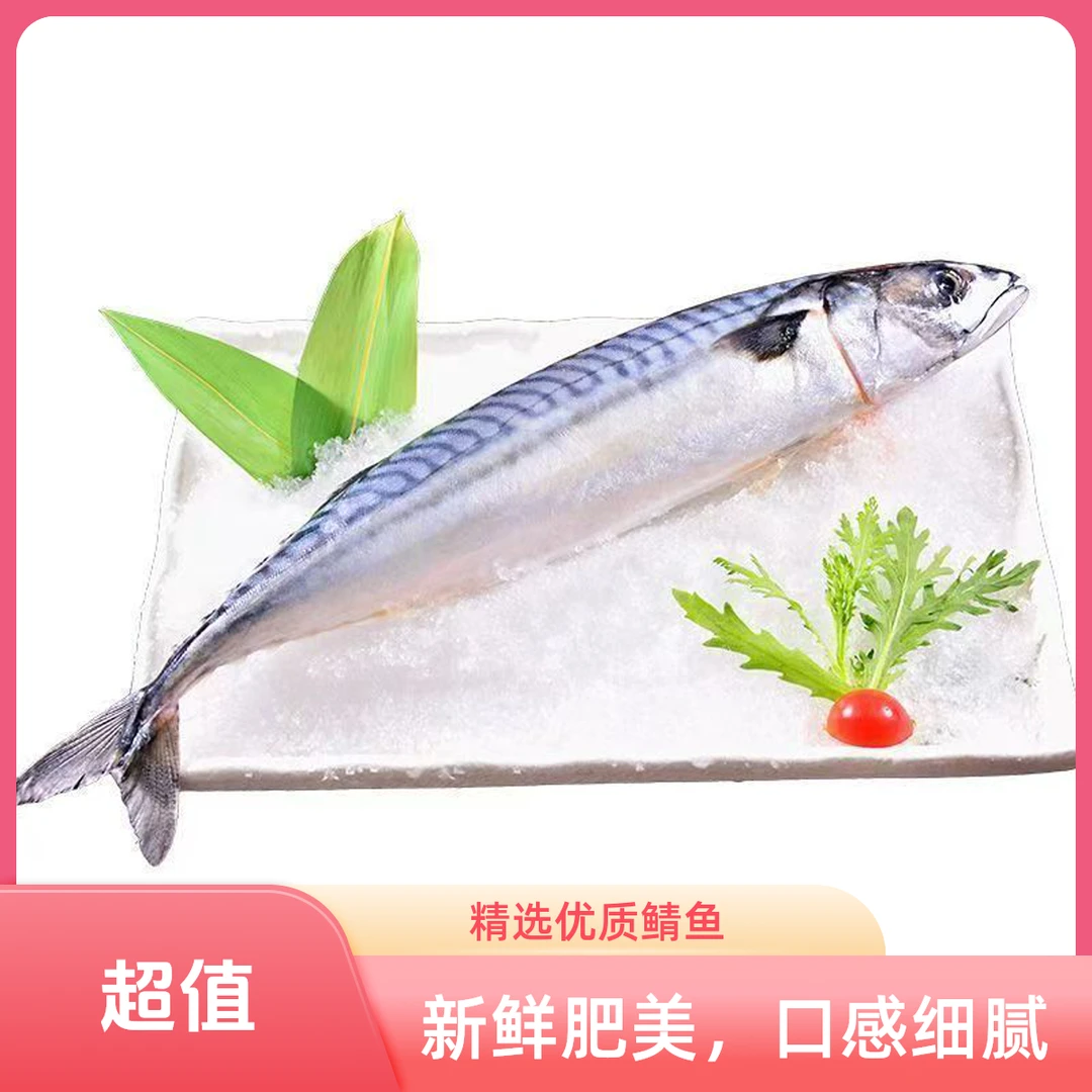 渤海湾鲐鲅鱼/青占鱼/花仙鱼/偶有破皮易脱刺介意勿拍顺丰包邮
