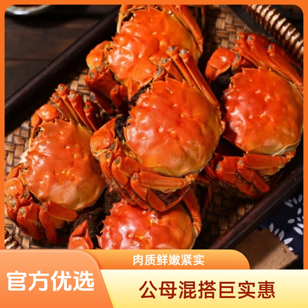 特惠顺丰【活蟹】江苏大闸蟹公母混搭公蟹4.5两母蟹3.5两共8只次日达死蟹包赔海鲜