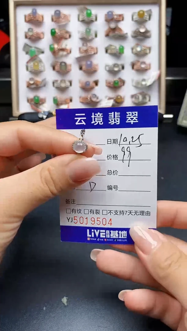 银S925镶嵌戒指翡翠9504
