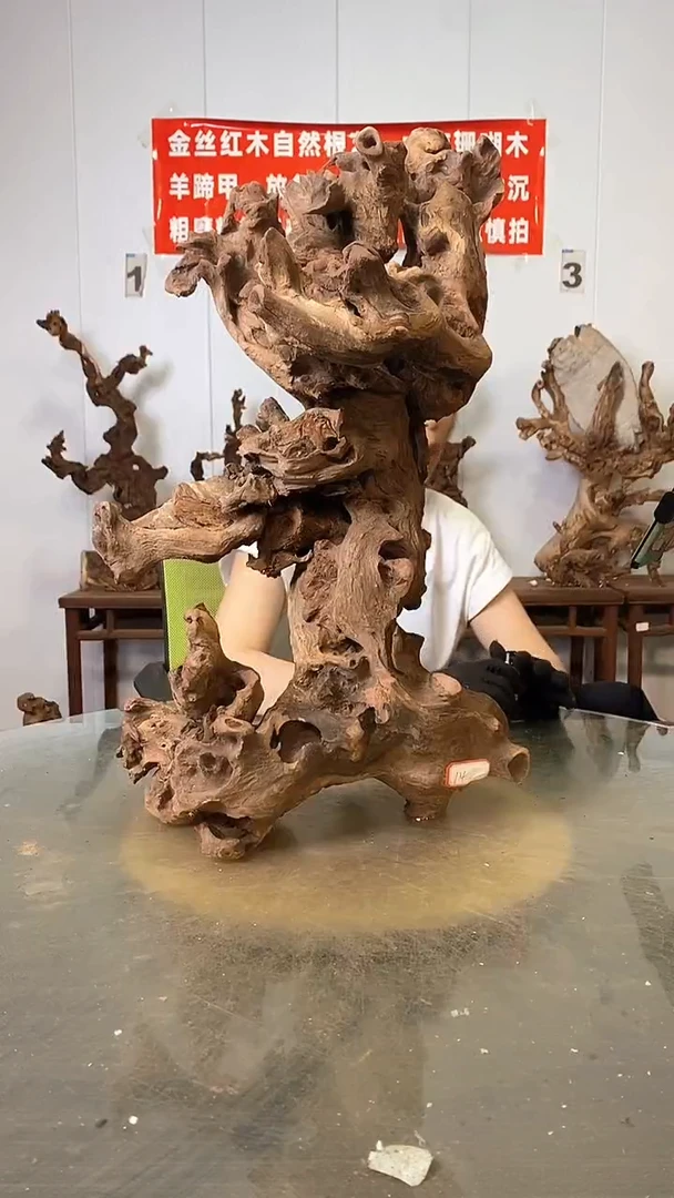 香榧木吃**陈金丝红木   羊蹄甲