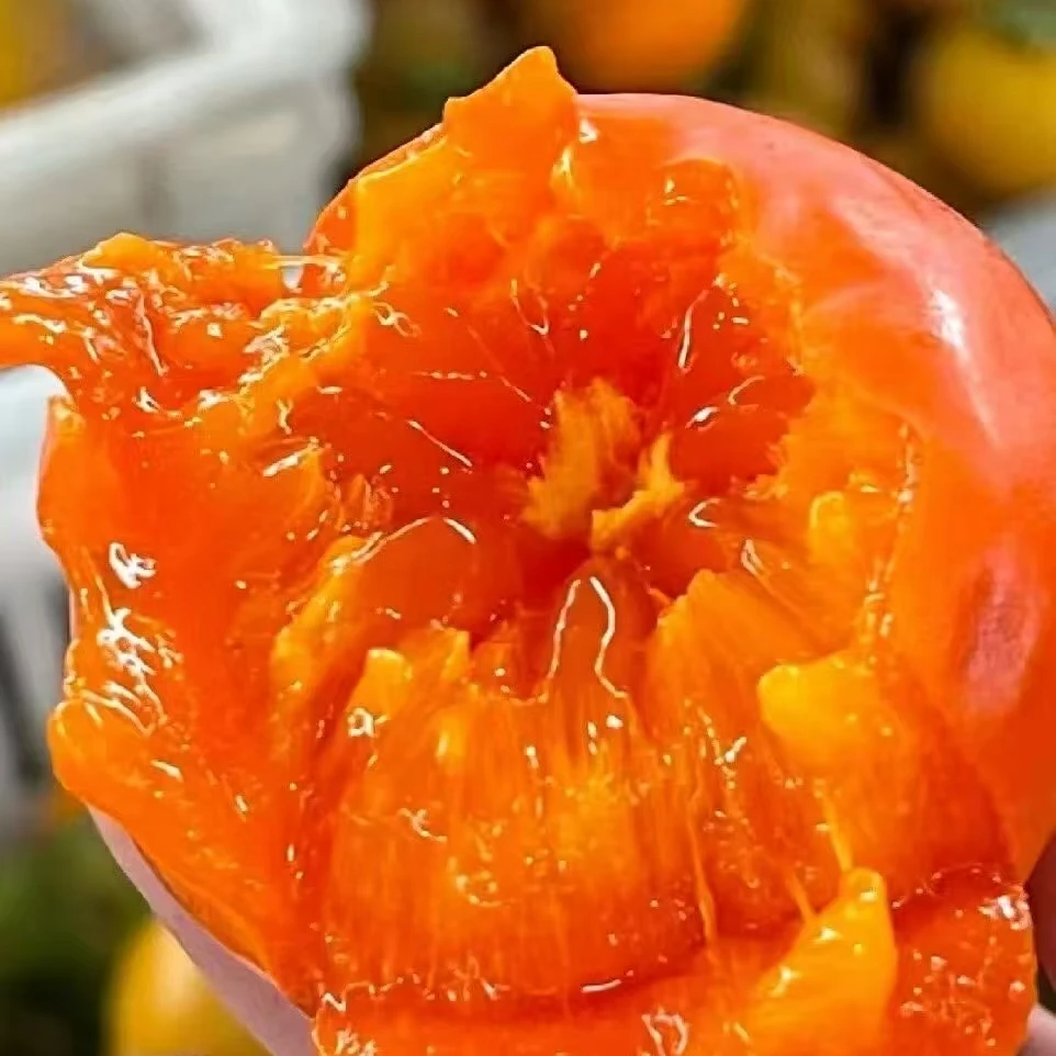 【放软吃】火晶小柿子皮薄肉厚成熟香甜应季水果坏果包赔