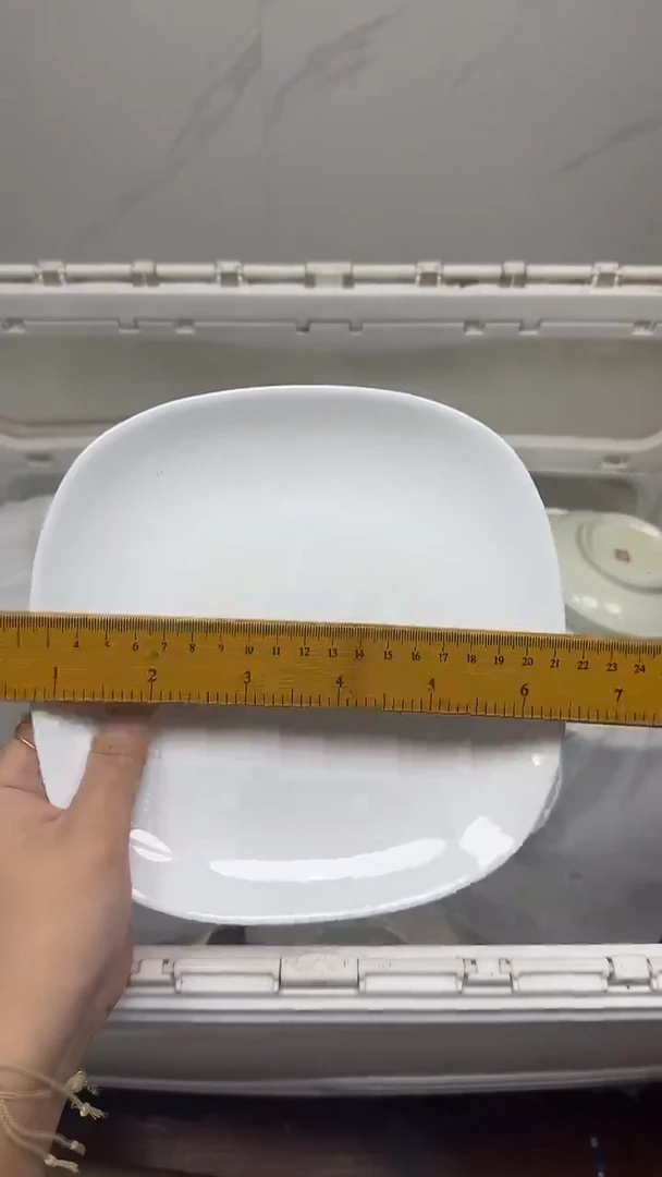 【闪购商品】646回流瓷器默认微瑕，18.8包邮