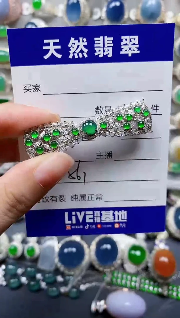 翡翠银S925镶嵌颈饰561