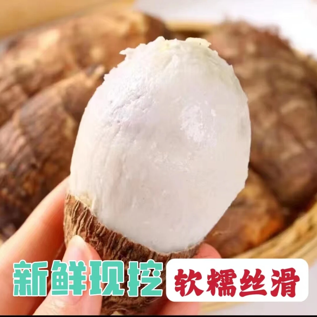 【9斤更划算】云南高山牛奶芋头应季现挖现发产地直销香甜软糯芋艿