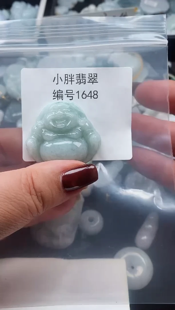 颈饰未镶嵌翡翠缅甸天然A货翡翠1648