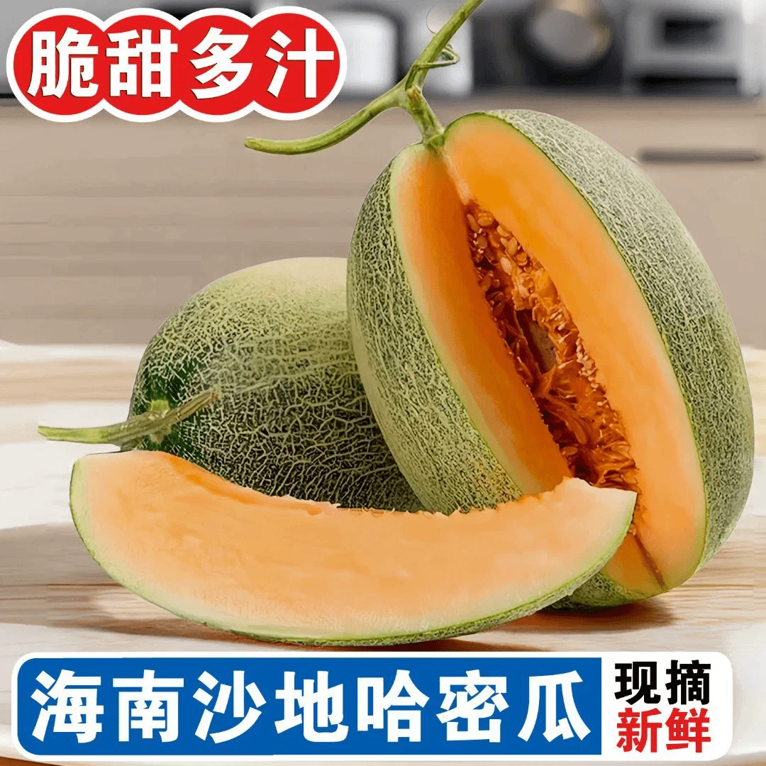海南沙地哈密瓜自然成熟脆甜爽口新鲜水果产地直发