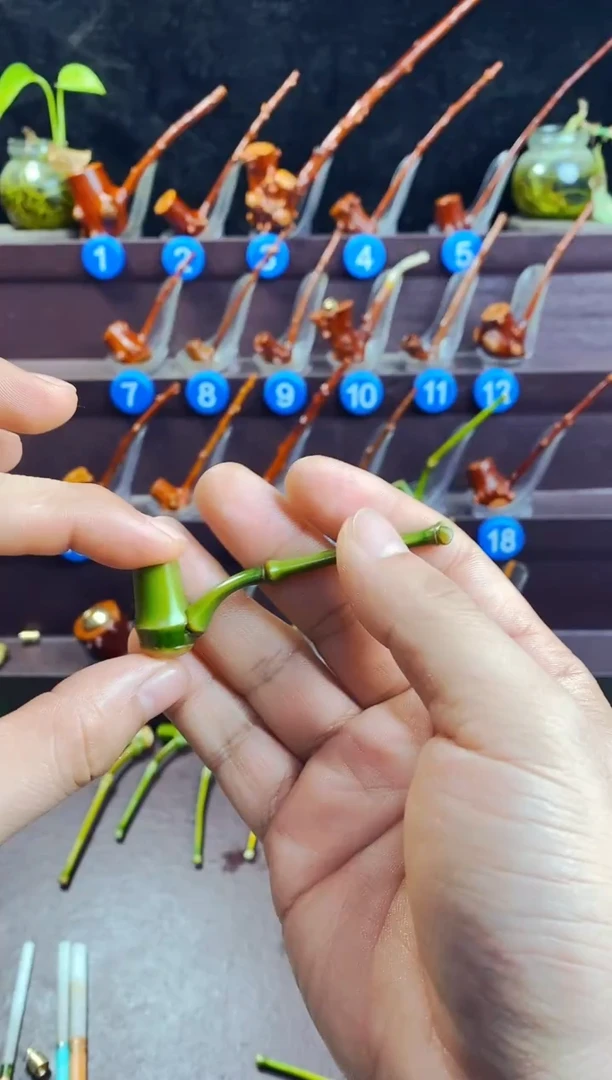 木李*庭檬子木的精品小斗