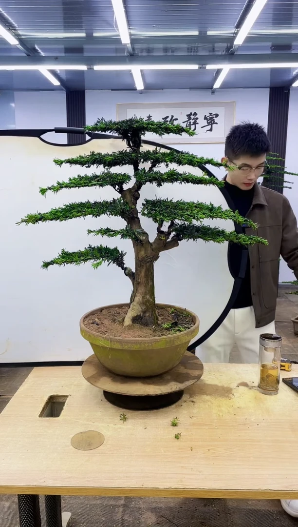 无花朵000000000000000000000000000000