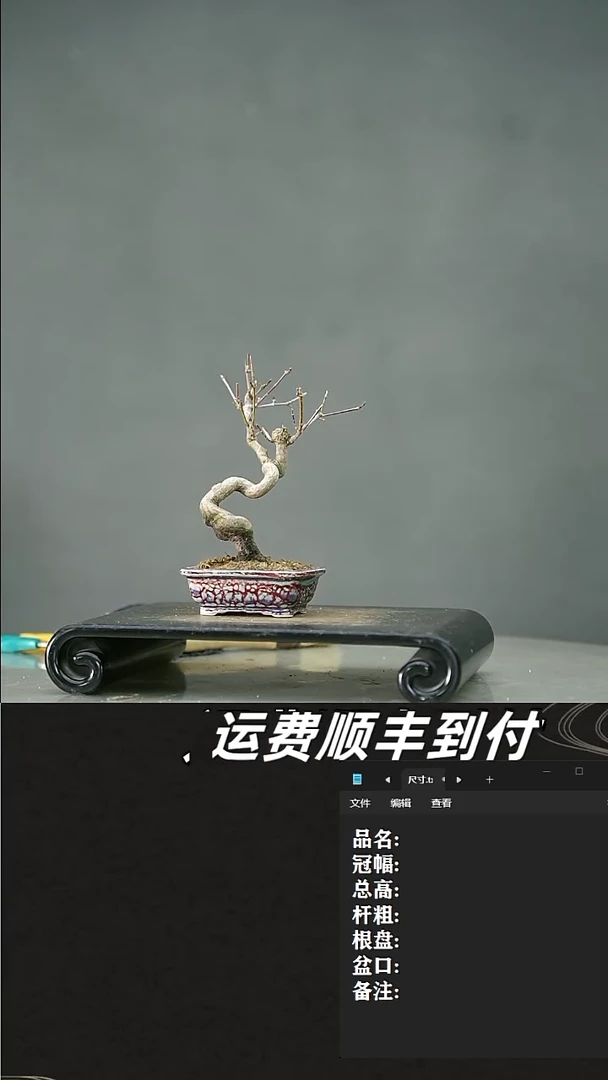 【闪购商品】11山红叶