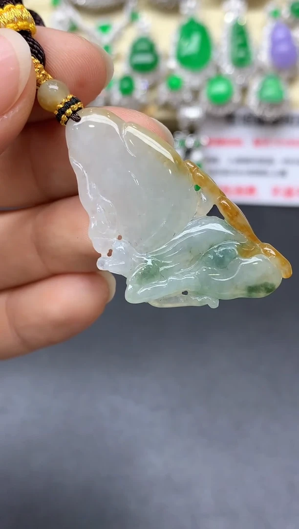 颈饰未镶嵌翡翠118-中国好珍宝