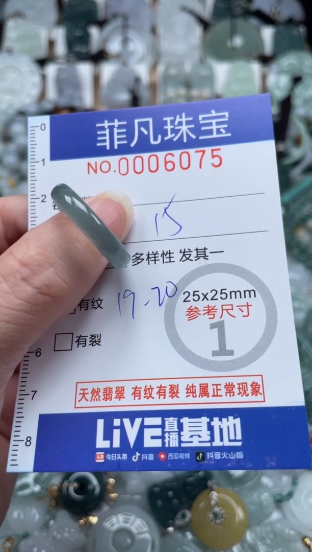 翡翠未镶嵌颈饰00..6075