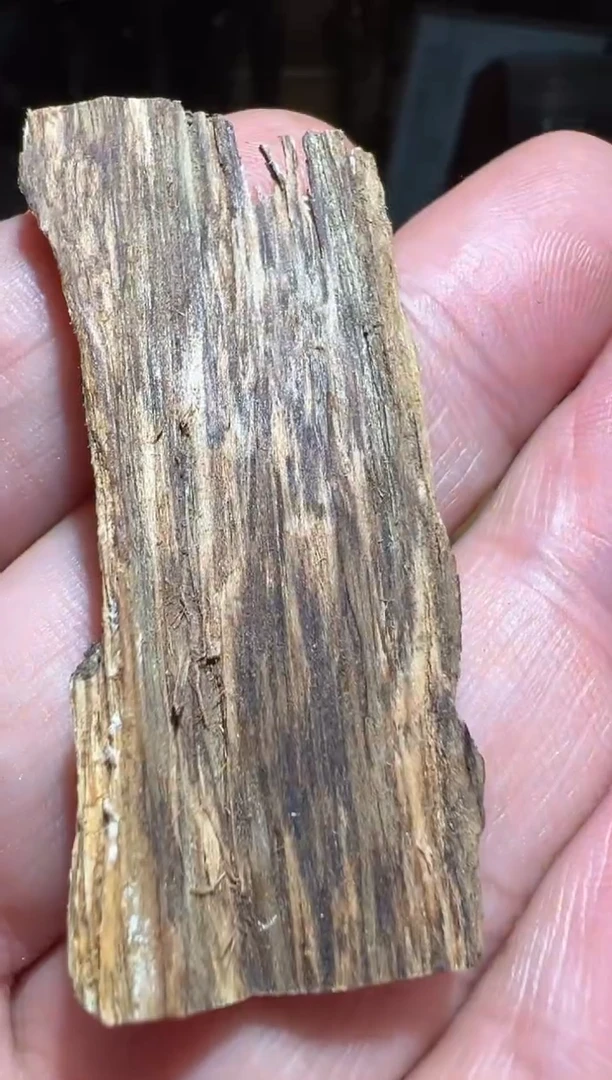 沉香碎屑沉香莱特1.8克