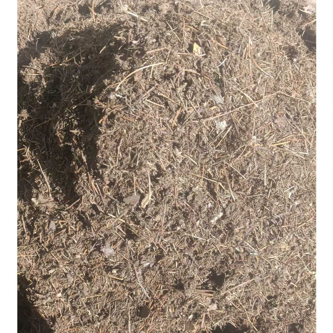 纯天然松针腐殖土适用于多种花卉绿植